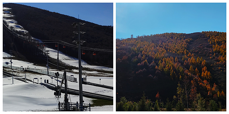 1634798285943919.jpg 微信图片_20211021105337.jpg