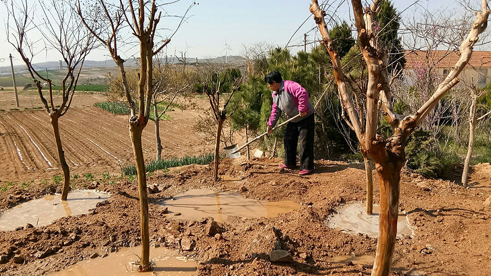 1635818395780168.png 微信图片_20211101172328.png