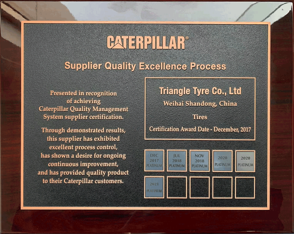 1673829179756323.png 卡特2021年供应商奖牌.png