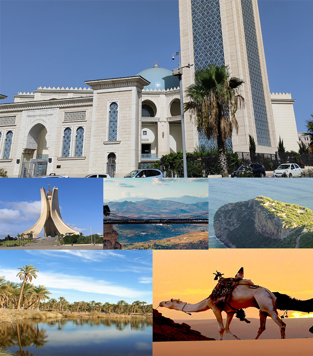 1691801928670111.jpg 4.jpg