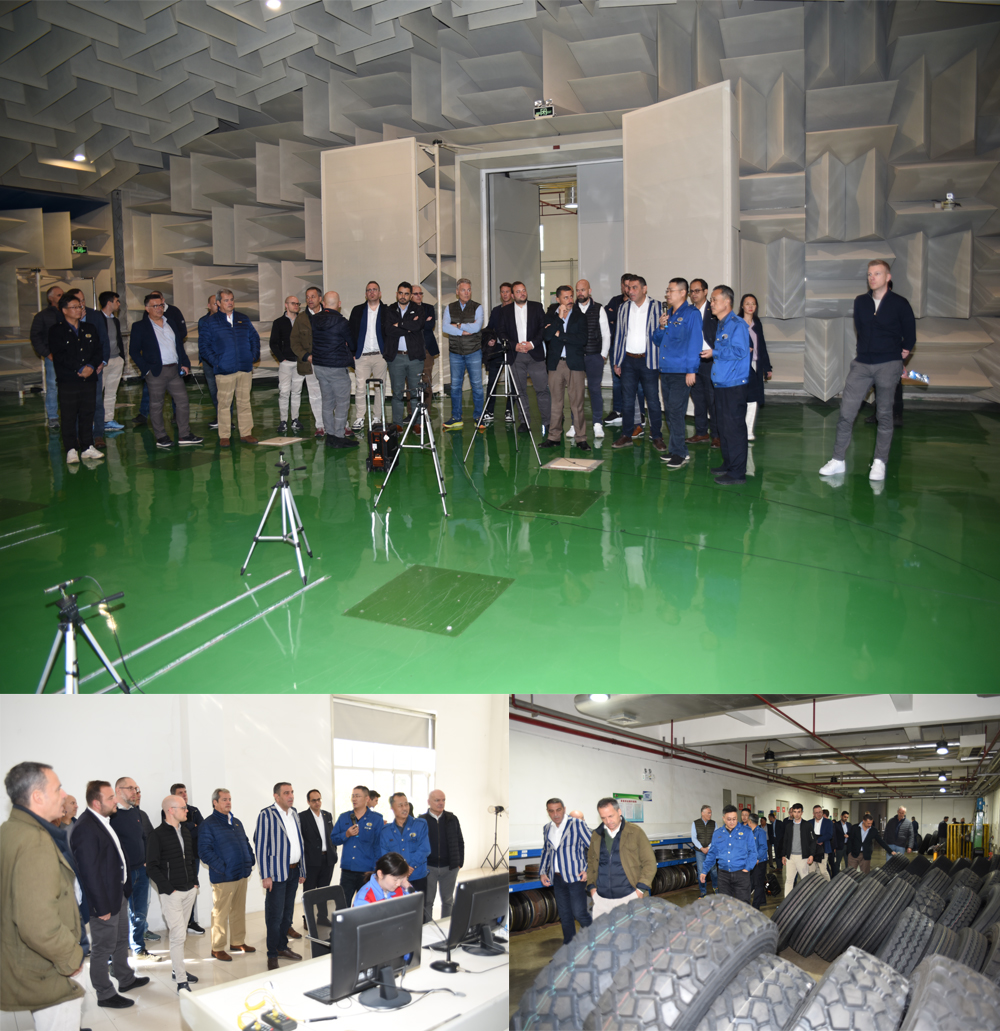 1730081778715028.jpg 6.jpg